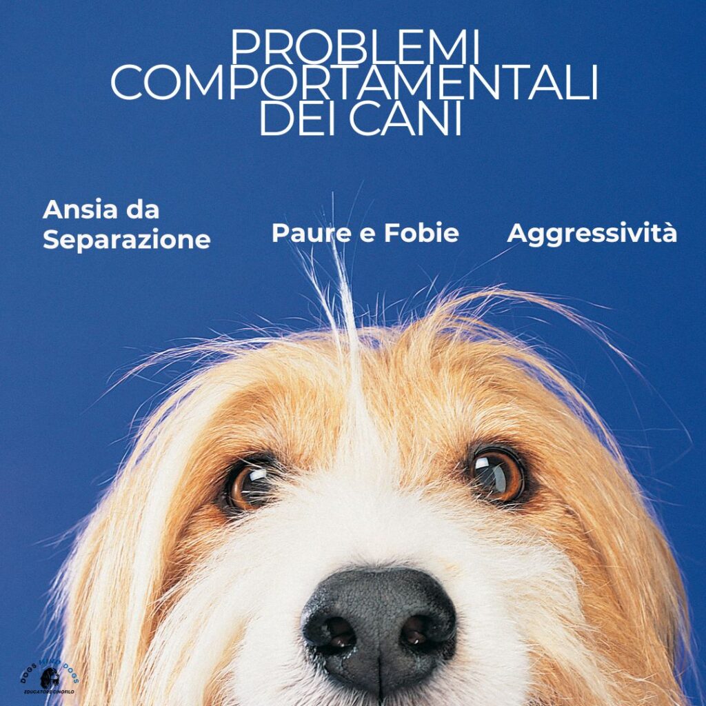problemi-comportamentali-cani