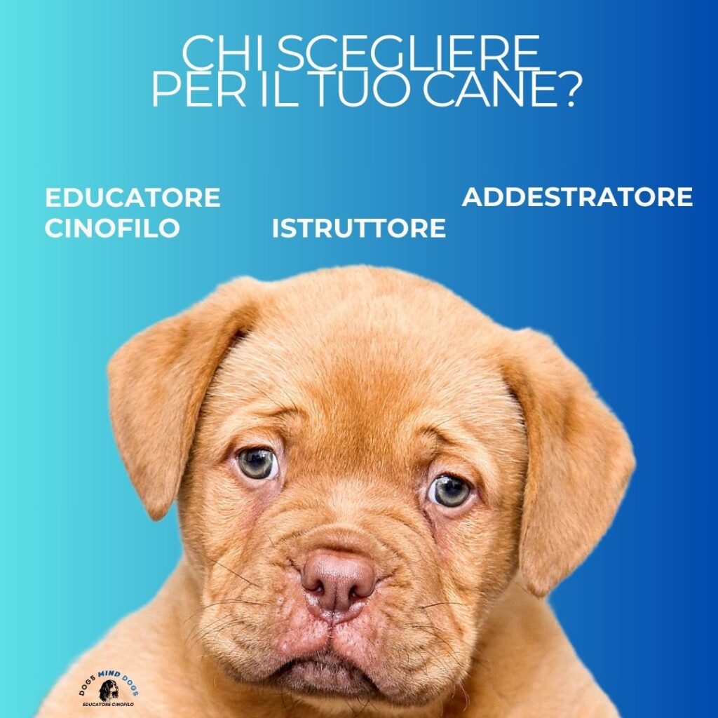DIFFERENZE-ADDESTRATORE-EDUCATORE-ISTRUTTORE