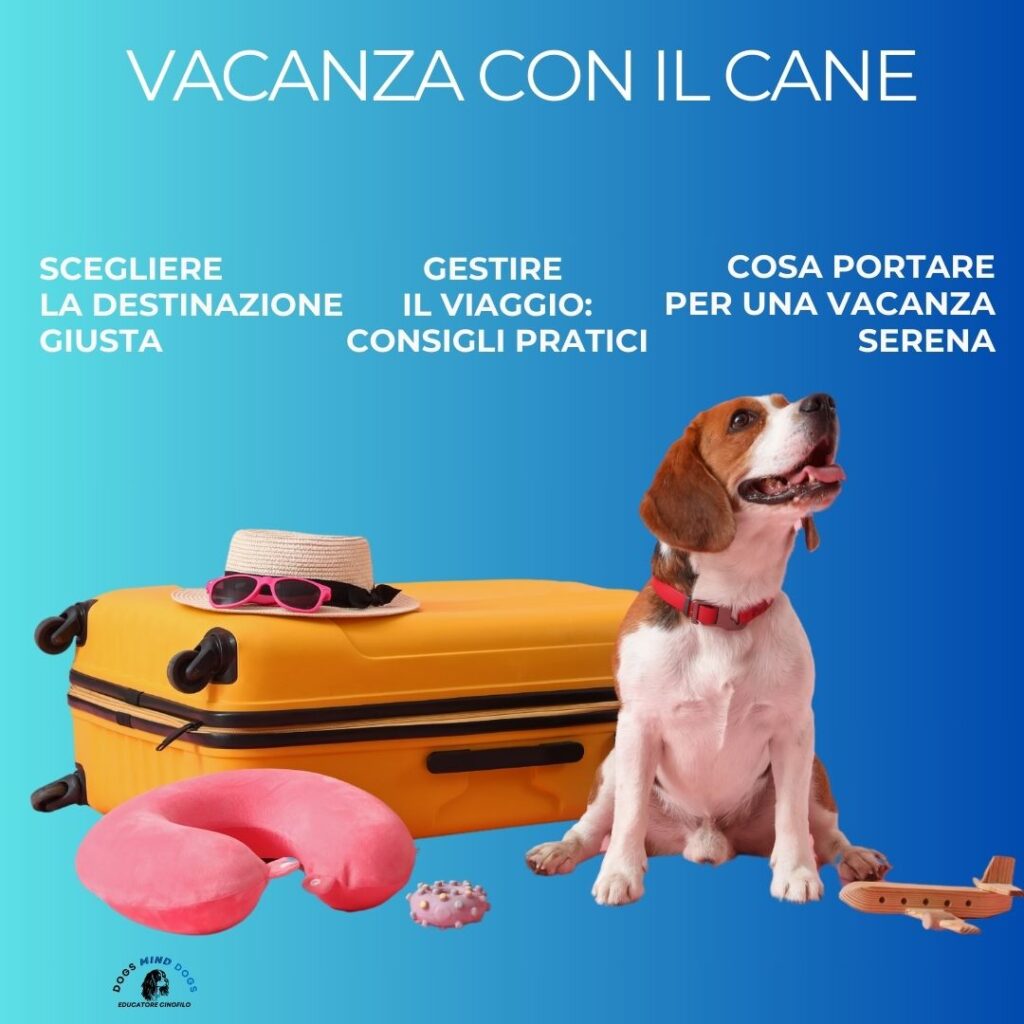 vacanza-cane-prepararsi-al-meglio