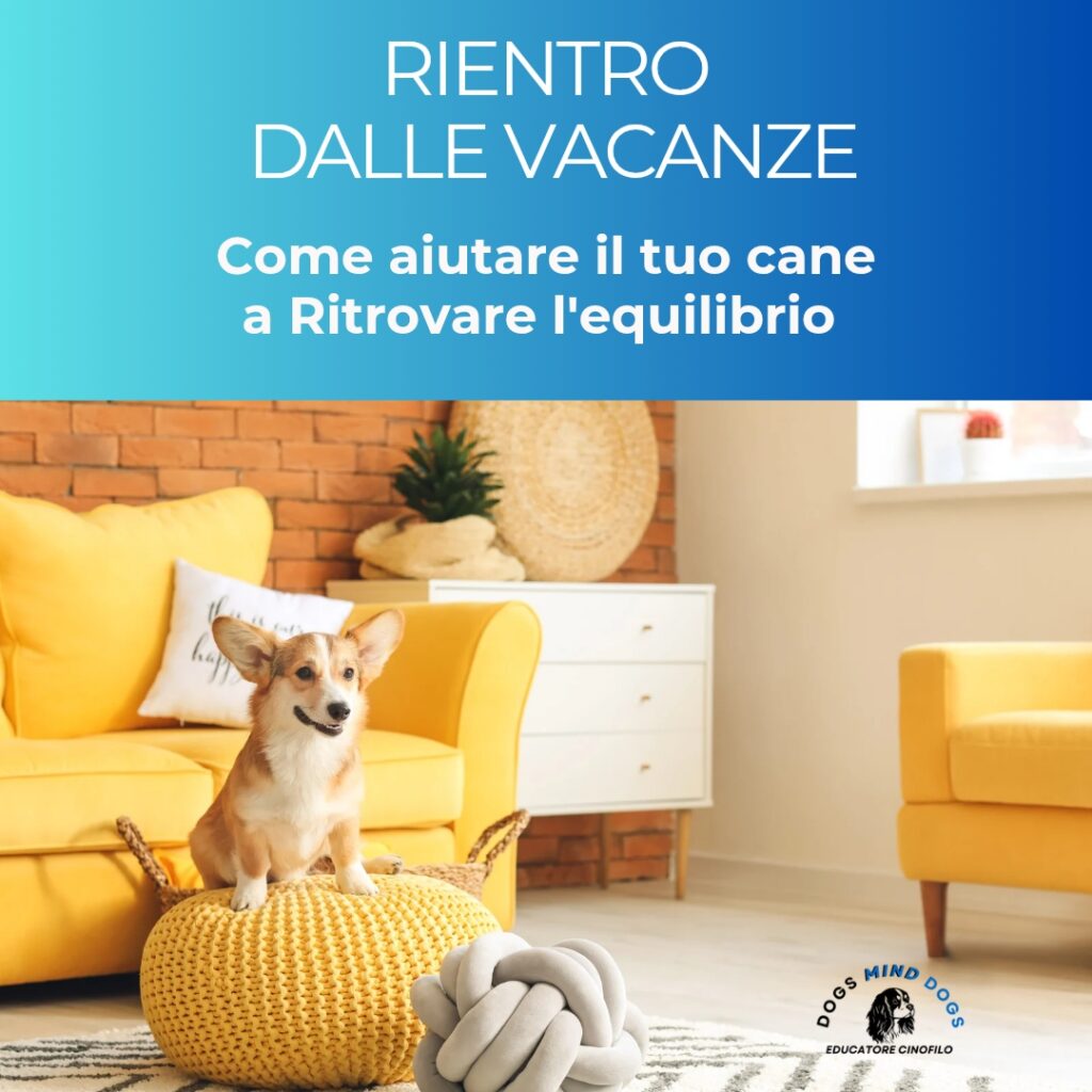 cane-rientro-vacanze