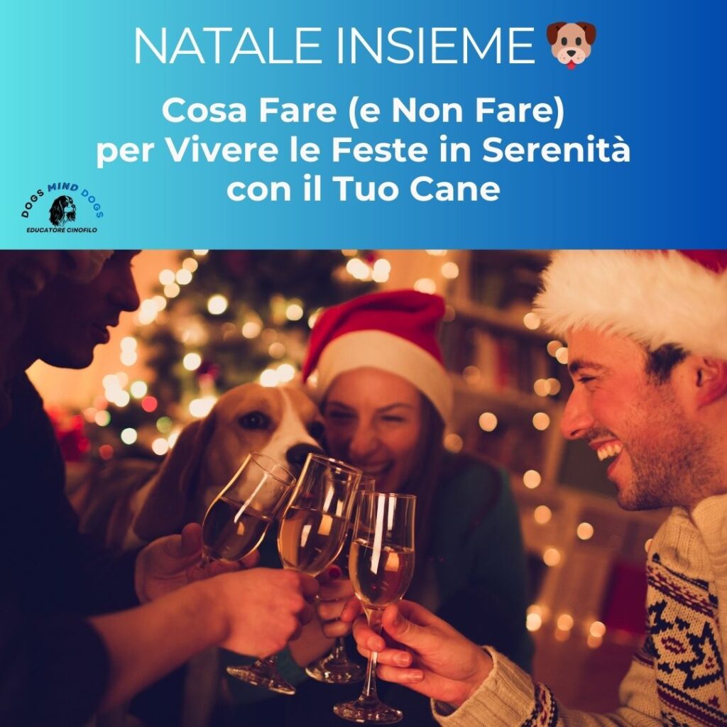 natale-cane-dog-mind-dogs-educatore-cinofilo