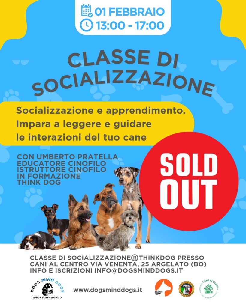 CLASSE-SOCIALIZZAZIONE-DOGS-MIND-DOGS-CANI-febbraio