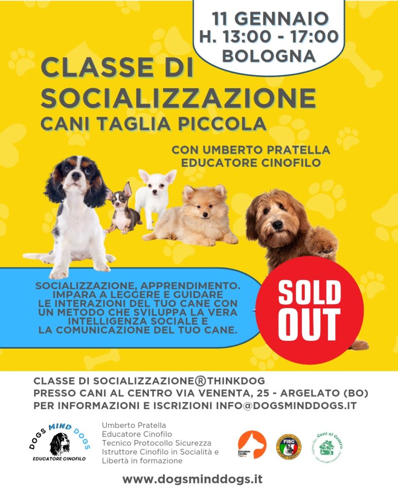 CLASSE-SOCIALIZZAZIONE-DOGS-MIND-DOGS-CANI
