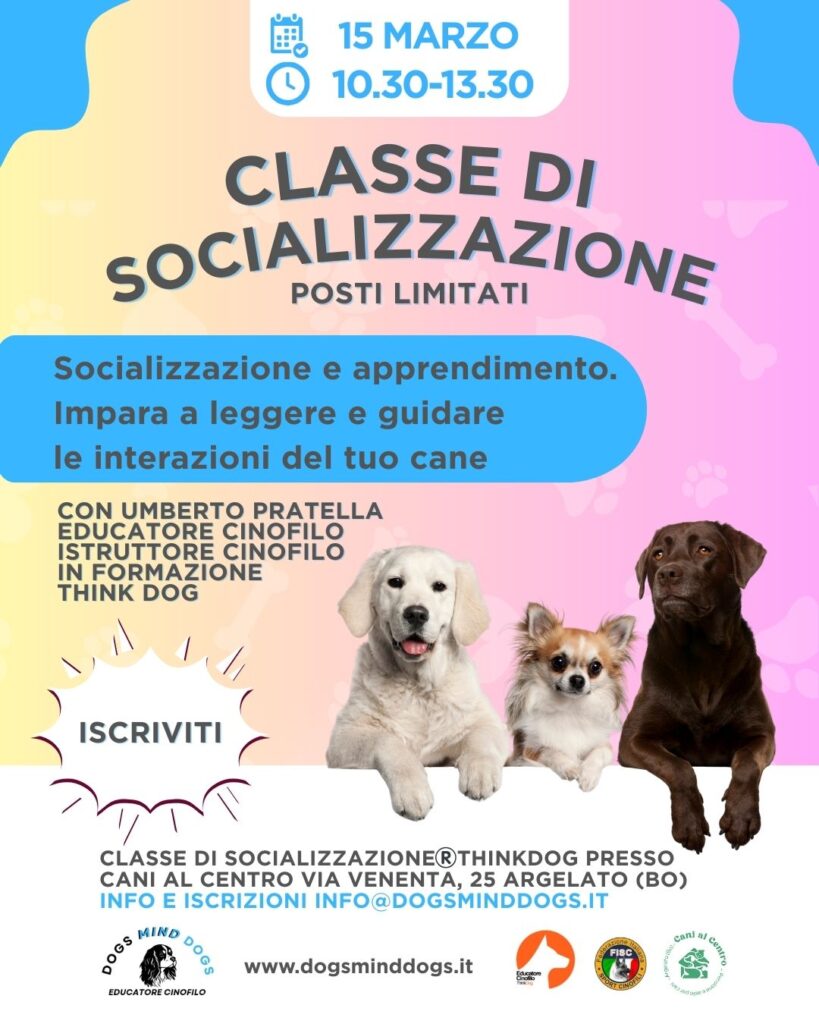 classe-socializzazione-cani-marzo-dogs-mind-dogs