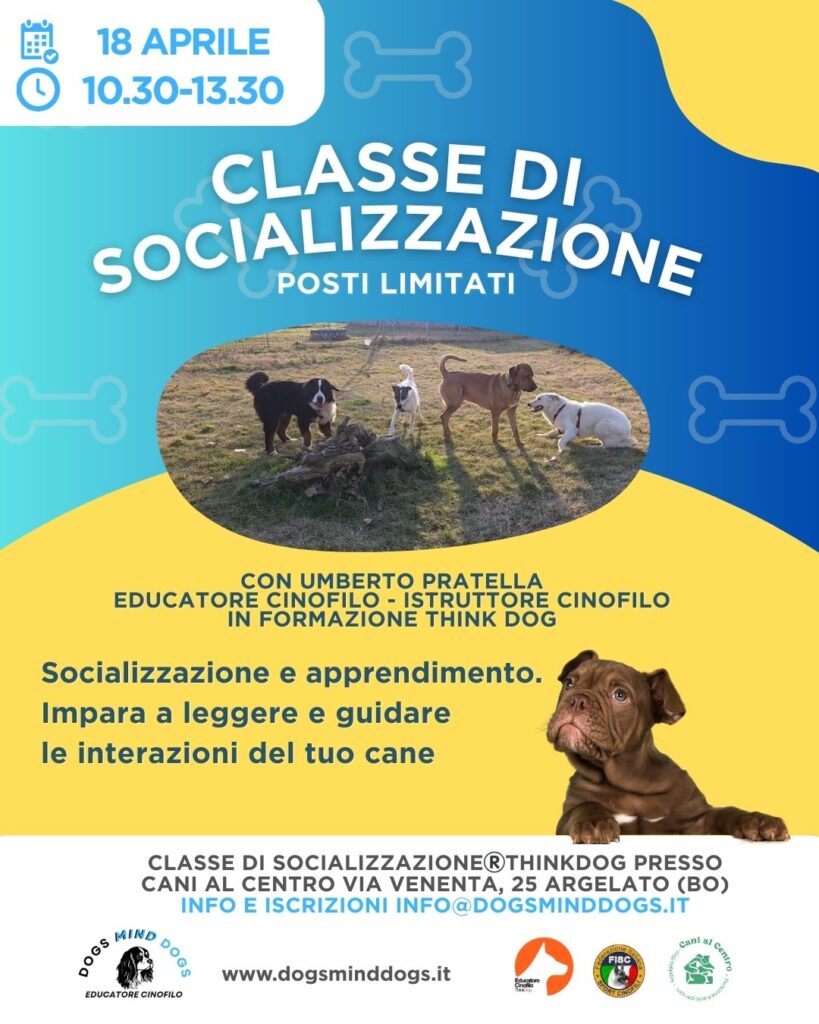 classe-socializzazione-dogsminddogs