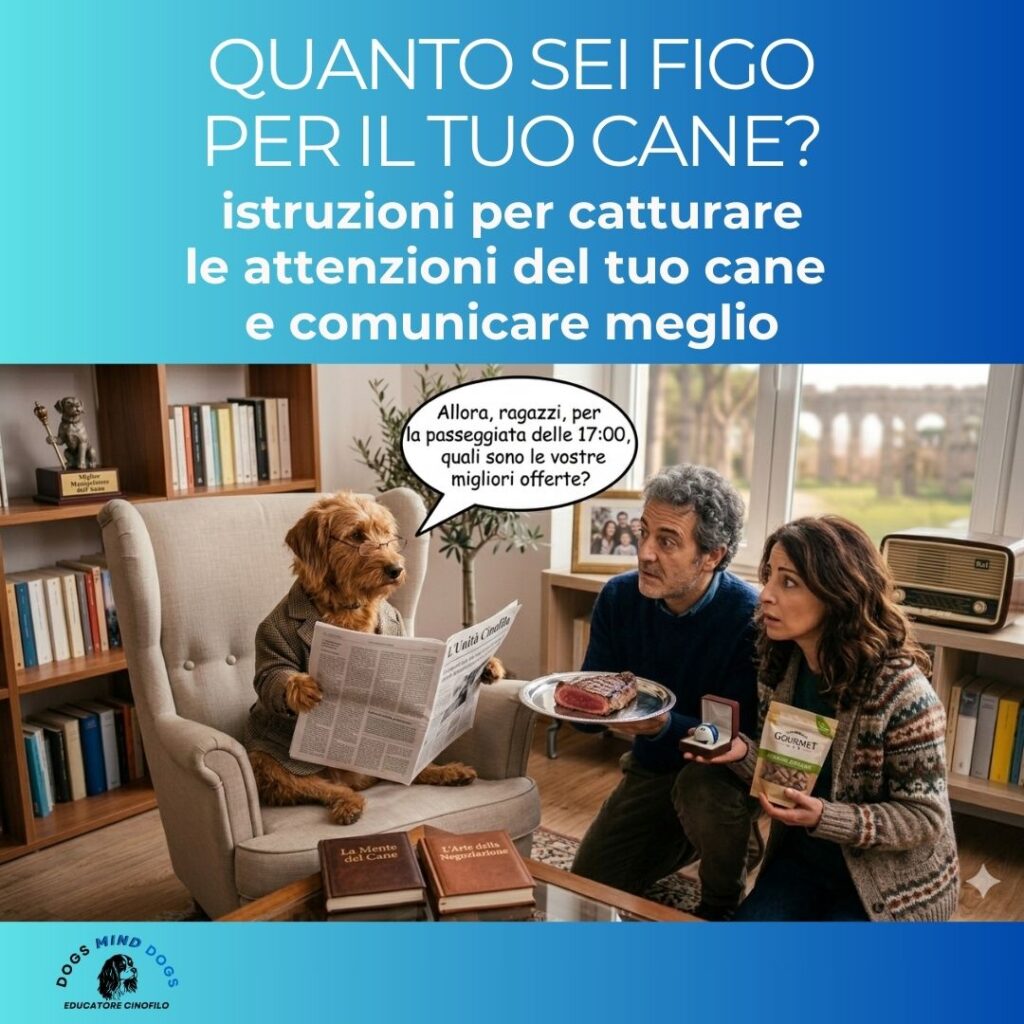 quanto-sei-figo-cane-dogs-mind-dogs